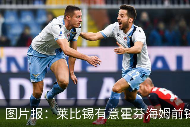 图片报：莱比锡有意霍芬海姆前锋阿斯拉尼，多特、巴萨也关注球员