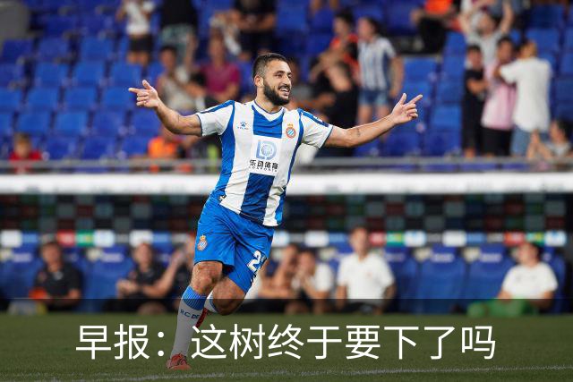 早报：这树终于要下了吗