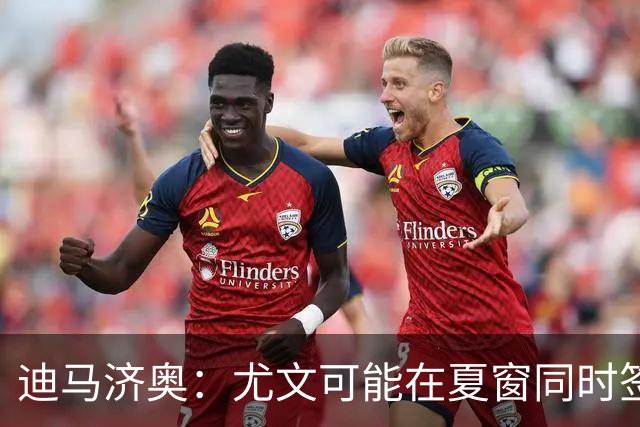 迪马济奥：尤文可能在夏窗同时签下卢库米和穆哈雷莫维奇
