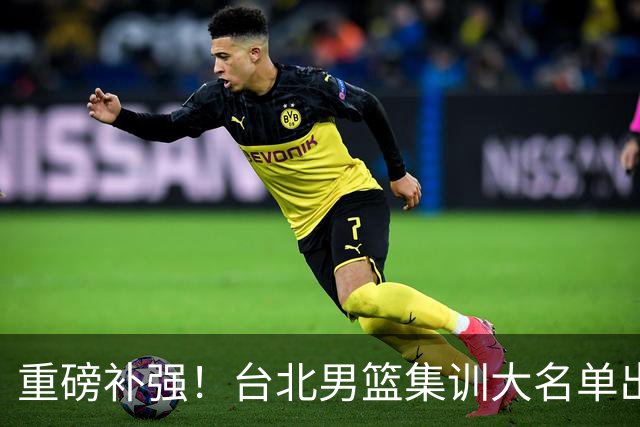 重磅补强！台北男篮集训大名单出炉，双归化压阵，中国男篮迎硬仗