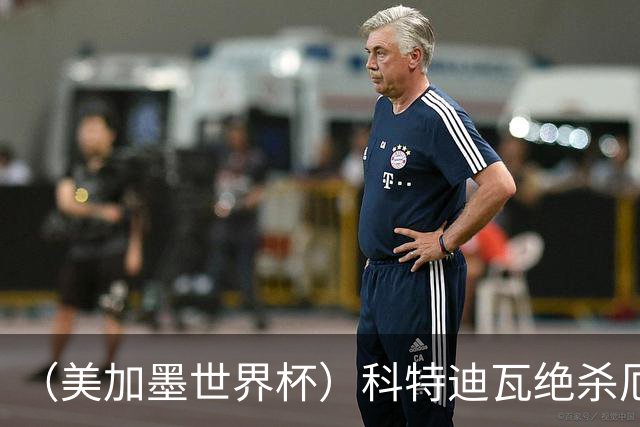 （美加墨世界杯）科特迪瓦绝杀厄瓜多尔 瑞典5:1大胜突尼斯