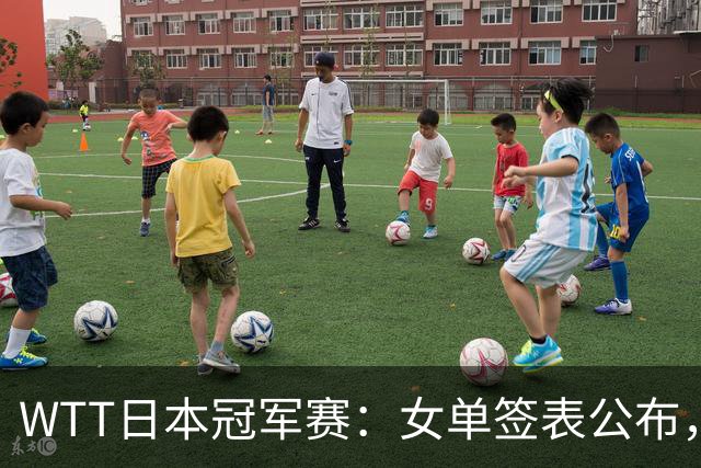 WTT日本冠军赛：女单签表公布，孙颖莎继续不参赛王曼昱头号种子